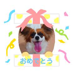 [LINEスタンプ] パピヨンすたんぷ2