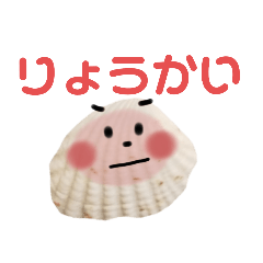 [LINEスタンプ] カワイイ貝がら達の毎日使える日常会話