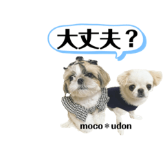 [LINEスタンプ] 可愛い日常会話2