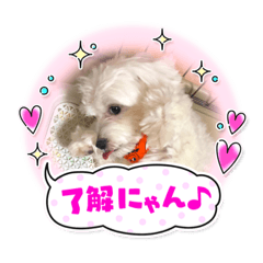 [LINEスタンプ] BIGリンクスタンプ 2
