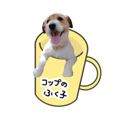 [LINEスタンプ] ジャックラッセルテリアのふく