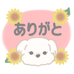 [LINEスタンプ] あっきぃのとんちゃんすたんぷ