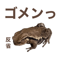 [LINEスタンプ] 生き物たちと共に②