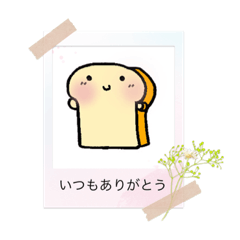 [LINEスタンプ] teedaさん