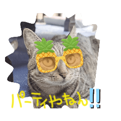 [LINEスタンプ] こじろうと愉快な仲間たち