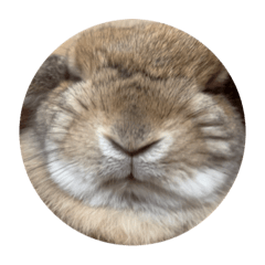 [LINEスタンプ] まつだししまる