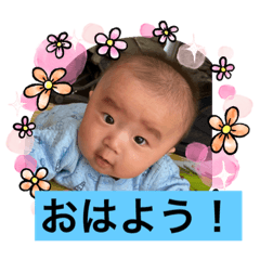 [LINEスタンプ] チビタロウ第2弾