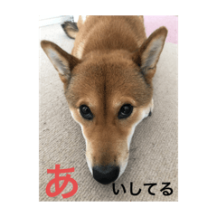 [LINEスタンプ] まこ姫スタンプ