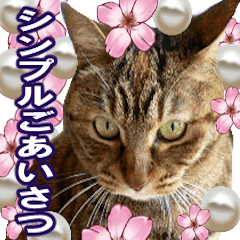 [LINEスタンプ] アンのシンプルごあいさつ