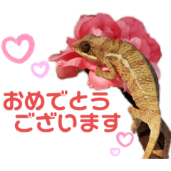 [LINEスタンプ] パンサーカメレオンのバルくん①