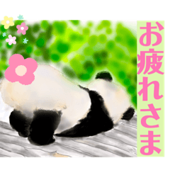 [LINEスタンプ] リアかわパンダちゃん