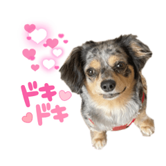 [LINEスタンプ] エイトPart5