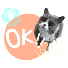 [LINEスタンプ] ブリティッシュ＆スコティッシュNo.2