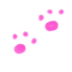 [LINEスタンプ] ねこちゃんくん