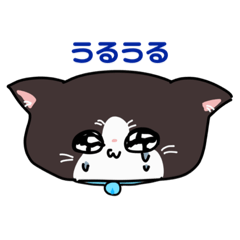 [LINEスタンプ] 猫を求めて三千里