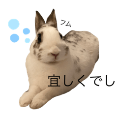 [LINEスタンプ] うさ族スタンプ