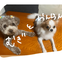 [LINEスタンプ] むぎとらんらん！