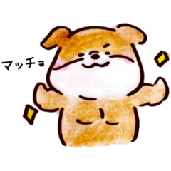 [LINEスタンプ] のんびりまめしば