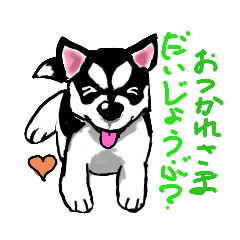 [LINEスタンプ] アスキィ(ハスキー仔犬)色んな表情編