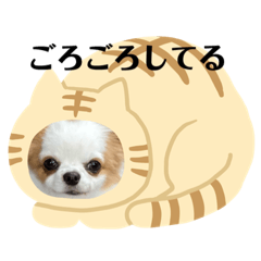 [LINEスタンプ] 癒しの着ぐるみ犬