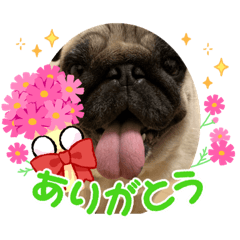 [LINEスタンプ] marutan。