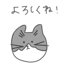 [LINEスタンプ] 先輩のお家のネコちゃん