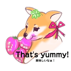 [LINEスタンプ] 柴犬の小春 ゆるふあコハルンダ・カー