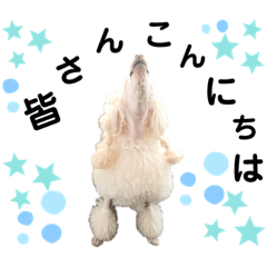 [LINEスタンプ] ひまはてわたおにちの大冒険 第3弾