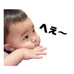 [LINEスタンプ] はくちゃんと愉快なわんこ達