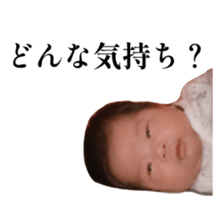 [LINEスタンプ] ひよちゃんのどんな気持ち？スタンプ