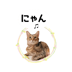 [LINEスタンプ] アニーちゃんスタンプ6