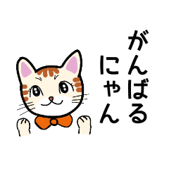 [LINEスタンプ] 猫の励まし