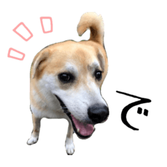[LINEスタンプ] 可愛いりんちゃん_01