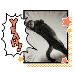 [LINEスタンプ] 茎たんスタンプ