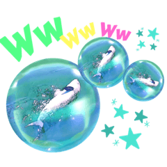 [LINEスタンプ] 海。空撮スタンプ『総集編』