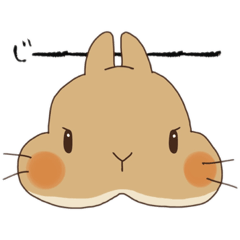 [LINEスタンプ] ネザーランドドワーフのむぎちゃん日常編