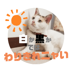 [LINEスタンプ] 家のエリちゃん(改訂版)
