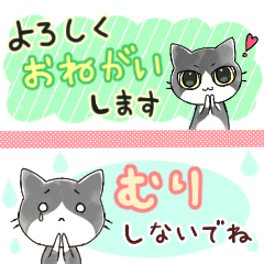 [LINEスタンプ] ハチワレ猫のスタンプ♡(省スペース)