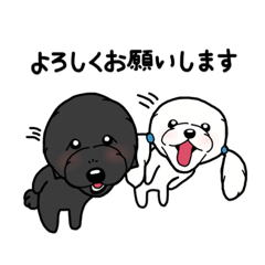 [LINEスタンプ] なつまる＆ちーずのいろいろ使えるスタンプ