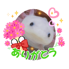 [LINEスタンプ] みんなと一緒 10