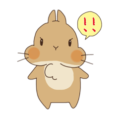 [LINEスタンプ] ネザーランドドワーフむぎちゃん