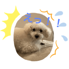 [LINEスタンプ] スノーウィー①