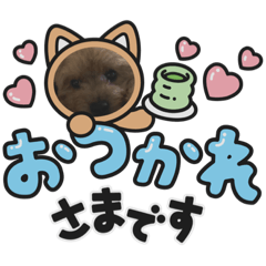[LINEスタンプ] いちごワンだよ2