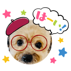 [LINEスタンプ] いちごワンだよ3