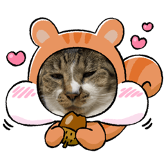 [LINEスタンプ] のんちゃん野朗