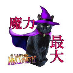 [LINEスタンプ] ハロウィン仮装が似合いすぎる黒猫スタンプ