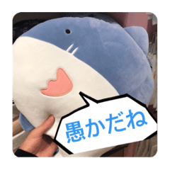 [LINEスタンプ] 煽るよ！サメちゃん！！