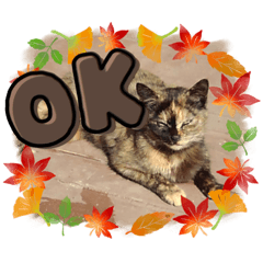 [LINEスタンプ] 秋っぽい動物たちのスタンプ˚✧₊⁎