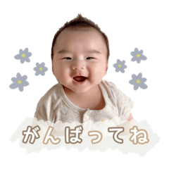 [LINEスタンプ] 飛鳥くんハーフバースデー記念スタンプ