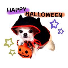 [LINEスタンプ] HAPPY！HALLOWEENキキララ